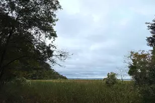 14985 Persimmon Ct, Issue, MD 20645 - Photo 1