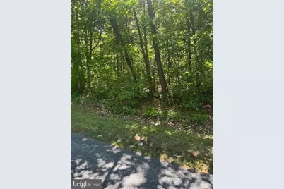 River Road, Greensboro, MD 21639 - Photo 1