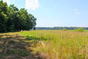 River Rd, Ridgely, MD 21660 - Photo 1