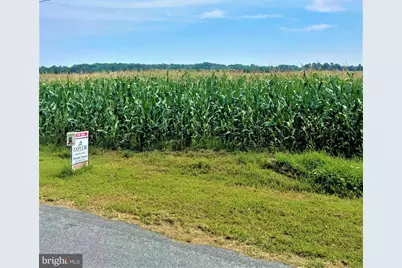 Hynson Road, Hurlock, MD 21643 - Photo 1