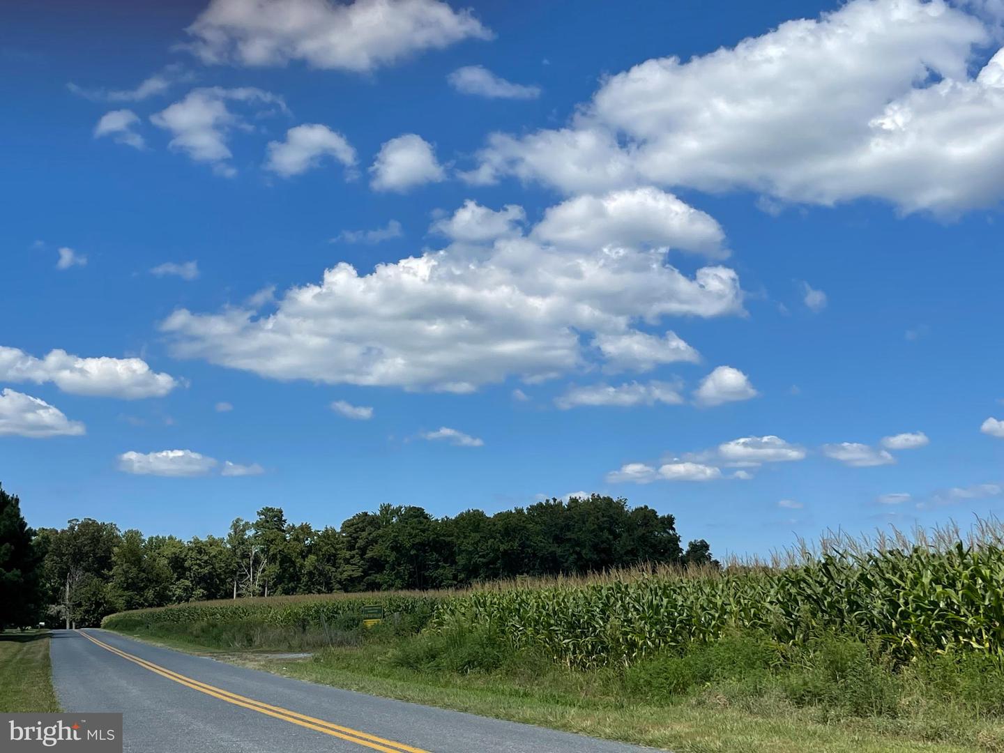 6613 Pine Top Rd, Hurlock, MD 21643 MLS MDDO2004308 Coldwell Banker