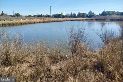 2642 Toddville Road, Toddville, MD 21672 - Photo 1