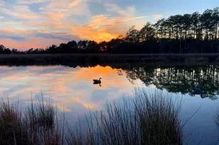 1907 Bishops Head Rd, Toddville, MD 21672 - Photo 1