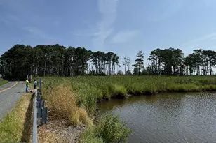 0 Elliott Island Rd, Vienna, MD 21869 - Photo 1