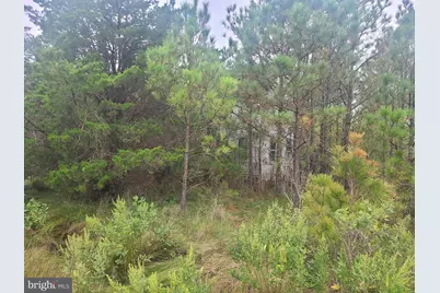 1736 Crocheron Road, Bishops Head, MD 21672 - Photo 1