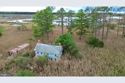 2205 Toddville Pond Road, Toddville, MD 21672 - Photo 1