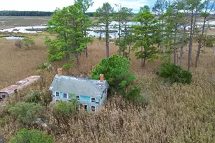 2205 Toddville Pond Rd, Toddville, MD 21672 - Photo 1