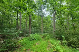 14358 Brown Rd, Sabillasville, MD 21780 - Photo 1