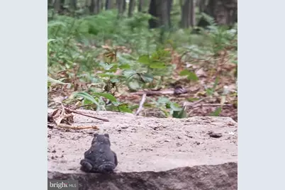 Sanders Lane, Oakland, MD 21550 - Photo 1