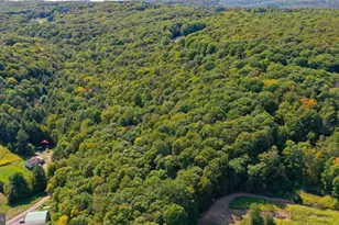 16 E Bittinger Rd, Grantsville, MD 21536 - Photo 1