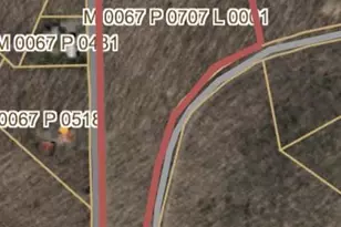 Bittinger Rd, Swanton, MD 21561 - Photo 1