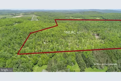 2026 Spring Lick Road, Swanton, MD 21561 - Photo 1