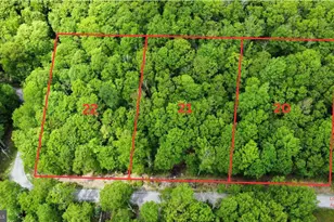 Fox Tail Rd, Oakland, MD 21550 - Photo 1