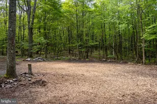 Betts Ln, Oakland, MD 21550 - Photo 1