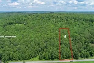 Lot 5 Greenwood Ridge Rd, Accident, MD 21520 - Photo 1