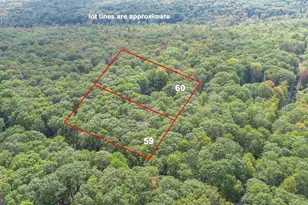 Lots 59 &amp 60 Cedar Ln, Oakland, MD 21550 - Photo 1