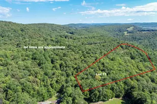 Lot 11 Turkey Run Rd, Accident, MD 21520 - Photo 1