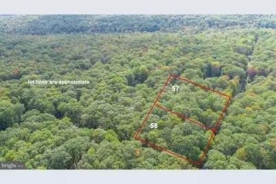 Lots 57 & 58 Black Oak Drive, Oakland, MD 21550 - Photo 1