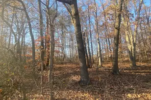 Old Philadelphia Rd, Joppa, MD 21085 - Photo 1