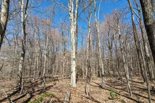 Danville Rd, Brandywine, MD 20613 - Photo 1