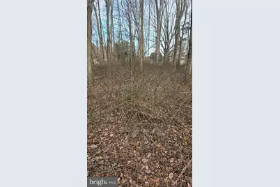 Lots30 and 32 Baltimore Drive, Stevensville, MD 21666 - Photo 1