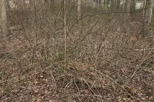 Lots30 and 32 Baltimore Dr, Stevensville, MD 21666 - Photo 1