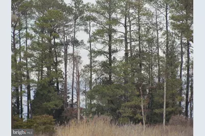 Piney Point Road, Piney Point, MD 20674 - Photo 1
