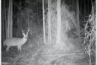 0 Boone Road #PARCEL 1370, Crisfield, MD 21817 - Photo 1