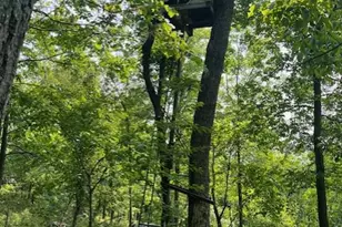 Reed Rd, Knoxville, MD 21758 - Photo 1