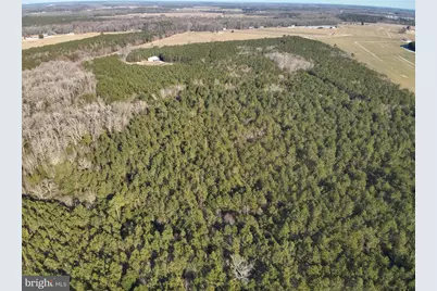 34767 Poplar Neck Road, Pittsville, MD 21850 - Photo 1