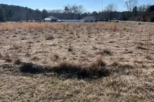 San Domingo, Mardela Springs, MD 21837 - Photo 1