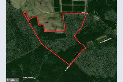 0 Bear Swamp Road, Parsonsburg, MD 21849 - Photo 1