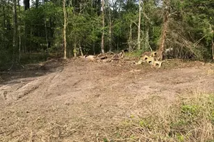 0 Capitola Rd, Tyaskin, MD 21865 - Photo 1