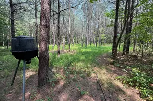 0 Morris Rd, Pittsville, MD 21850 - Photo 1