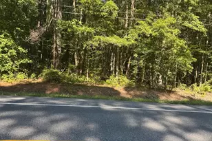 Nanticoke Rd, Quantico, MD 21856 - Photo 1
