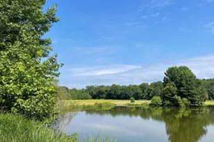 Lot 4 Campbelltown Rd, Bishopville, MD 21813 - Photo 1