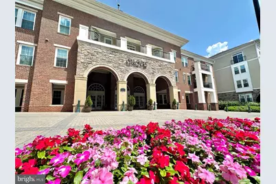 2465 Army Navy Drive #1-302, Arlington, VA 22206 - Photo 1