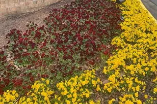 309 Yoakum Pkwy, Alexandria, VA 22304 - Photo 1