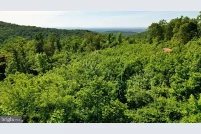 1 Jenkins Lane, Bluemont, VA 20135 - Photo 1