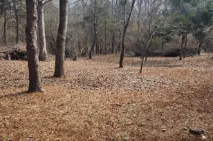 36 Deer Ln, Boston, VA 22713 - Photo 1