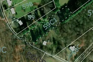 Eggbornsville, Rixeyville, VA 22737 - Photo 1