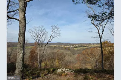 Land Sunset Woods Trail, Rixeyville, VA 22737 - Photo 1