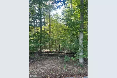 Countryside Lane, Lignum, VA 22726 - Photo 1