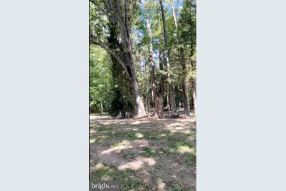 23124 Telegraph Road, Ruther Glen, VA 22546 - Photo 1