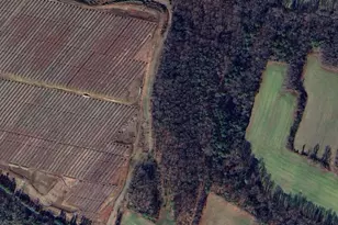 0 Muddy Gut Rd, Dunnsville, VA 22454 - Photo 1