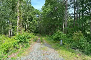 Haden Martin Road (Tract: Martin Pitts), Palmyra, VA 22963 - Photo 1