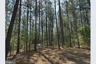 Tbd Tract 3 Covered Bridge Rd, Kents Store, VA 23084 - Photo 1