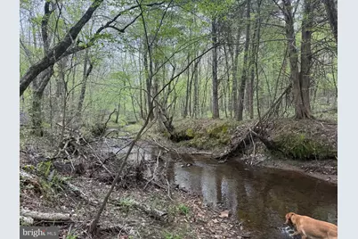 Tbd 4 Covered Bridge Rd, Kents Store, VA 23084 - Photo 1