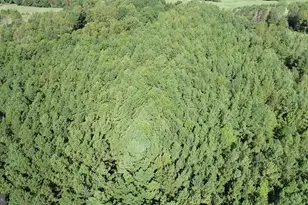 0 Deep Creek Rd, Kents Store, VA 23084 - Photo 1