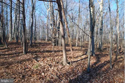 Free State Rd, Marshall, VA 20115 - Photo 1